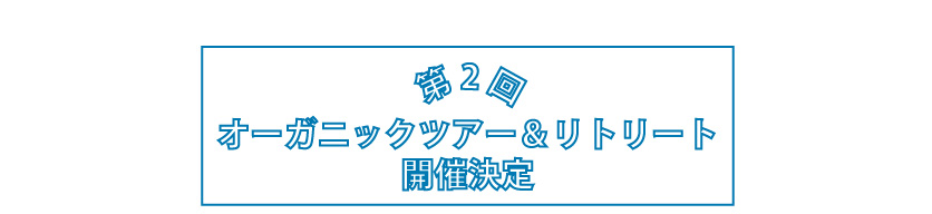 ツアー概要